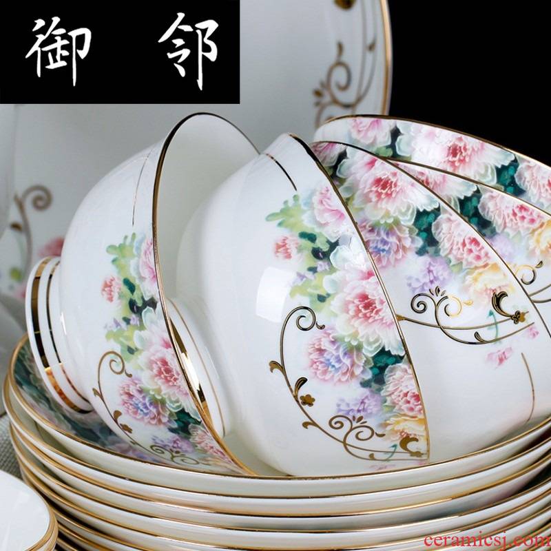 Propagated tableware suit jingdezhen ceramic tableware European dishes dishes suit