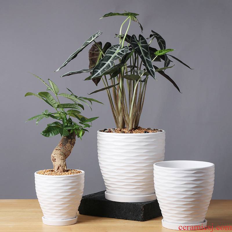 Flower pot type ceramic Nordic contracted large their individuality creative fleshy Flower pot home rich tree other the plants