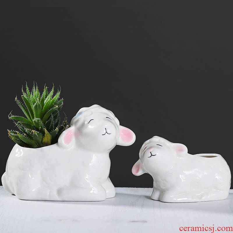 European contracted creative cartoon fleshy flowerpot ceramic move to indoor the plants hand - made small flower is white