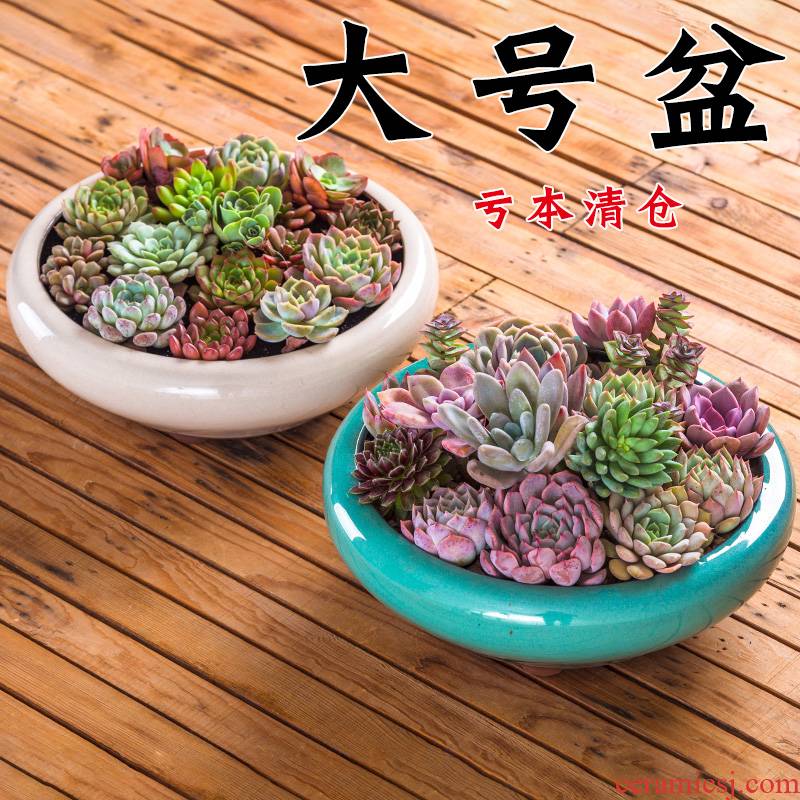 Extra large plant pot is more meat flowerpot more coarse pottery ideas they big caliber platter ceramic plant