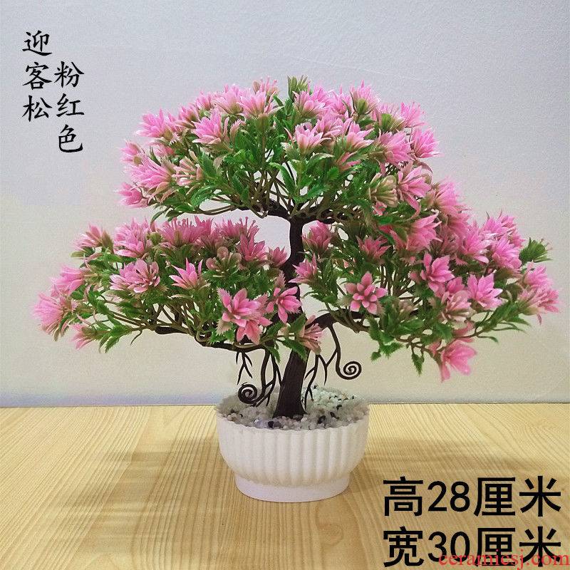 Simulation flower guest - the greeting pine auspicious tree the plants potted bonsai flowers home sitting room tea table desktop furnishing articles