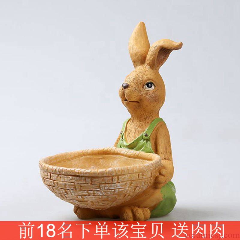 Large rabbit meat meat plant oversized Large - diameter platter fleshy flower POTS of ceramic wholesale special offer a clearance