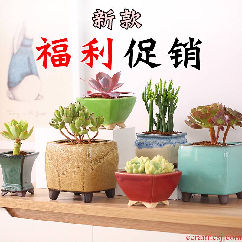 More coarse pottery flowerpot More meat the plants green plant ceramic contracted individuality creative waist drum four square purple sand pot