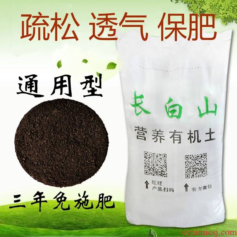 DongBeiJu black agave plant bracketplant more than other meat more general plant soil medium soil ceramsite without fertilization