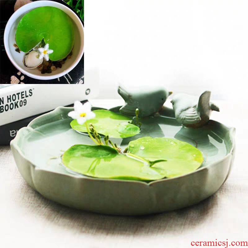 Large extra Large caliber lotus leaf bowl lotus special ceramic hydroponic nonporous grass daffodils cooper money plant flower pot