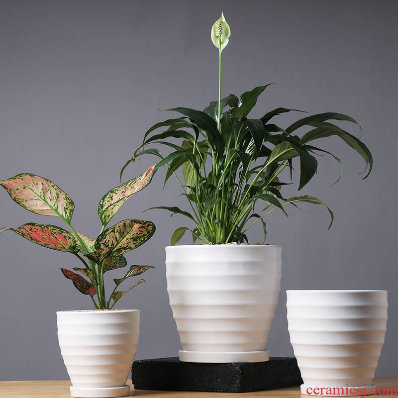 Contracted creative flowerpot ceramic large clearance other anthurium heavy meaty plant pot home boreal Europe style