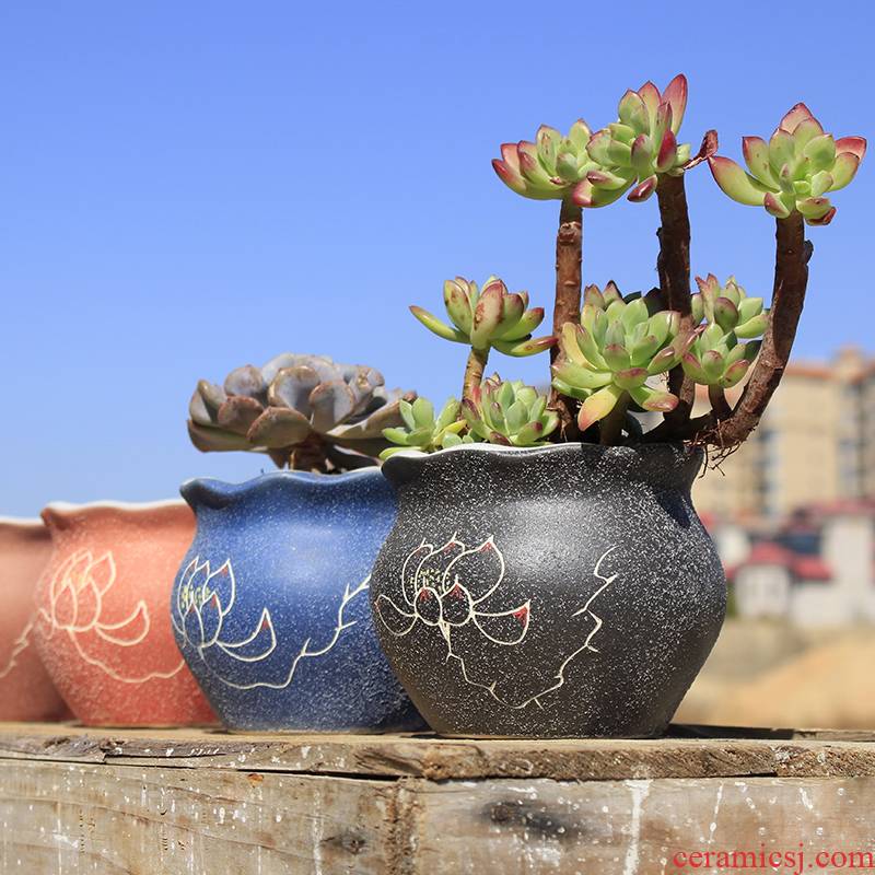 Creative ceramic special thick fleshy flowerpot TaoQing warehouse breathable flesh POTS of large diameter flower pot in contracted potted the plants