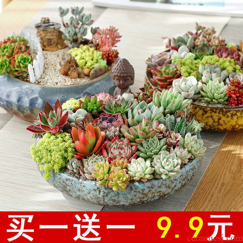 The Fleshy flower POTS, large diameter special offer a clearance package mail extra large household flowerpot ceramic large combo platter