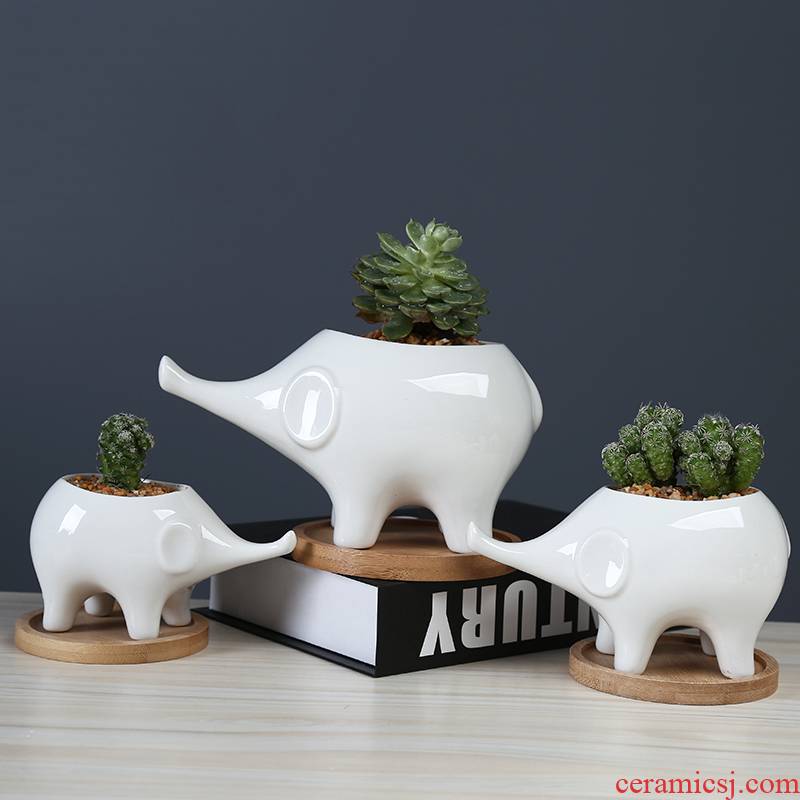 White cartoon fleshy flowerpot ceramic move to the desktop decorative the plants and animals elephants spend with tray