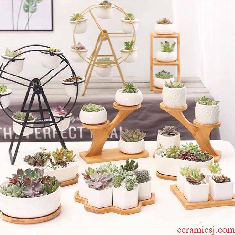 Fleshy special ceramic the plants, wrought iron flower pot in creative move, Nordic contracted white ferris wheel set combination