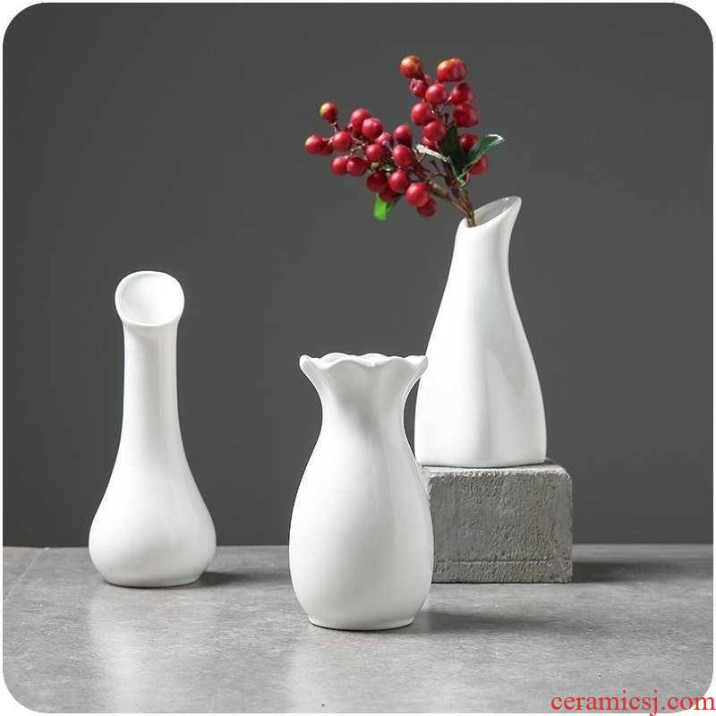 The Big foot small white porcelain vase hydroponic the plants home furnishing articles decorative dried flowers in the vase