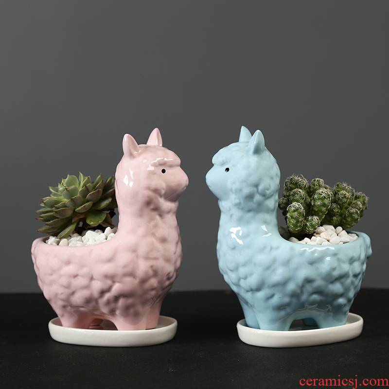 Flowerpot creative move and lovely cartoon, fleshy interior decoration desktop animals the plants flower implement ceramics with pallets