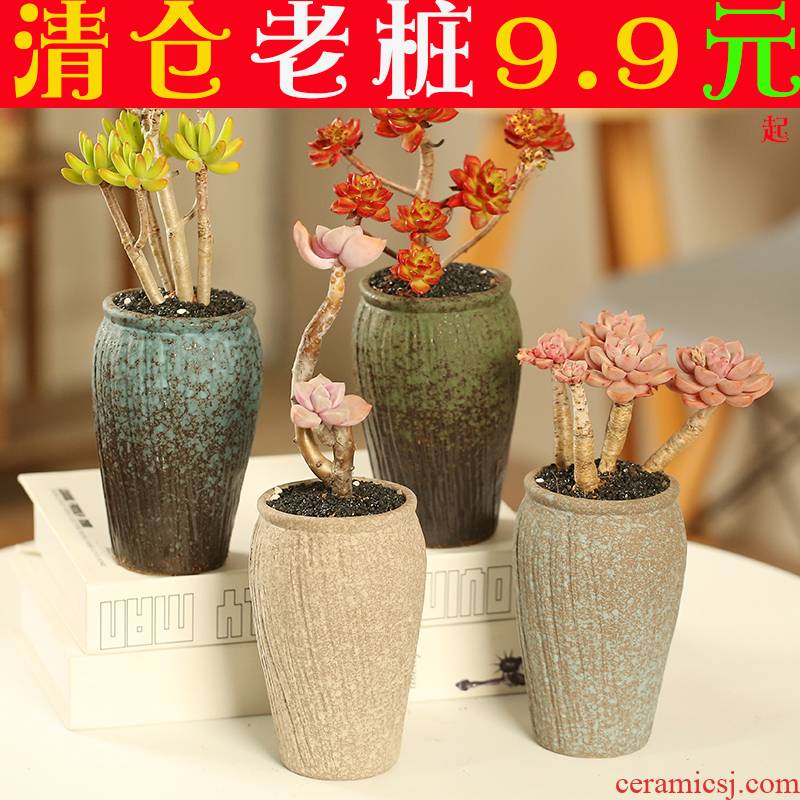 The Fleshy flower pot large old running the special offer a clearance individuality creative interior contracted diameter coarse pottery breathable meat meat the plants