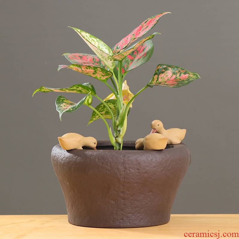 Other professional copper grass hydroponic flower pot ceramic creative indoor water restoring ancient ways with no hole, contracted a daffodil vessels
