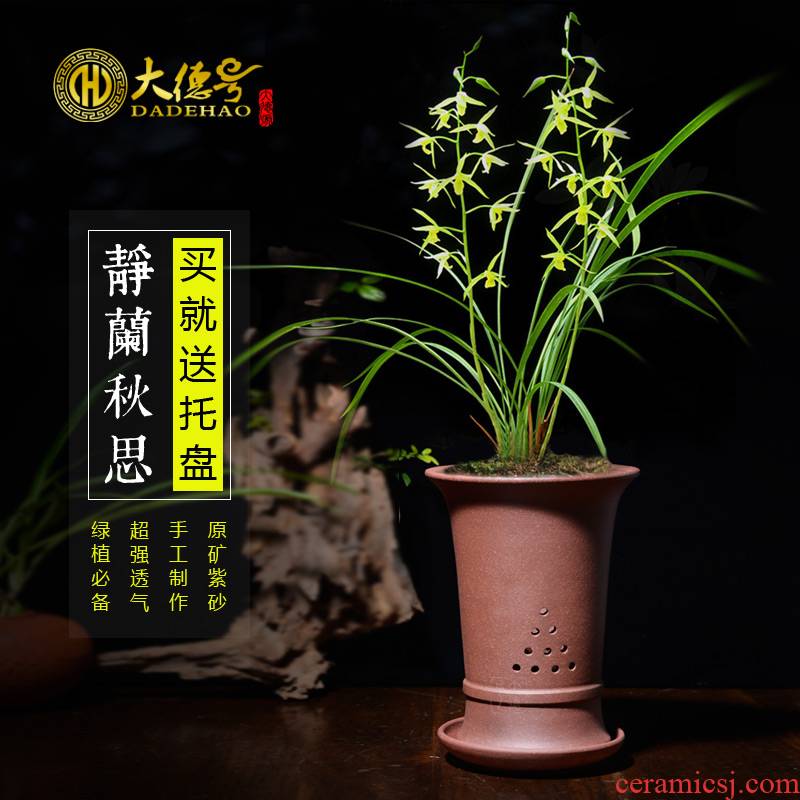 Yixing purple orchid flower POTS round purple clay POTS facilities. We use chunlan indoor buy basin which send tray with mud