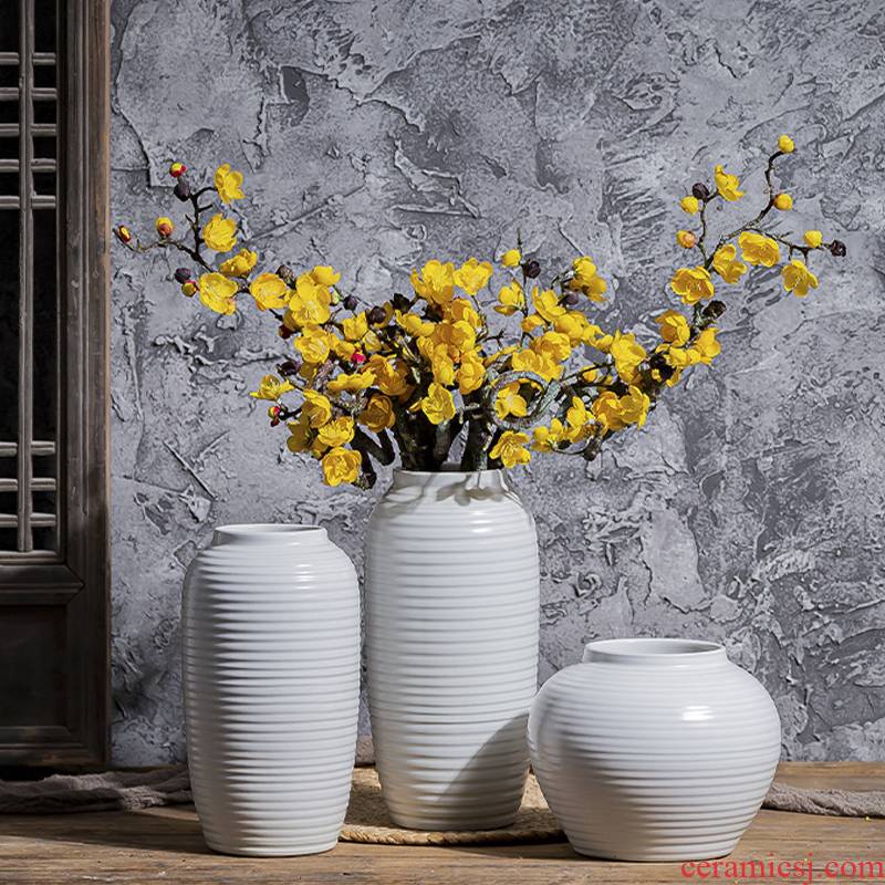 Contracted and I white mesa of creative art ceramic plug-in sitting room vase northern wind furnishing articles flowers water dried flowers
