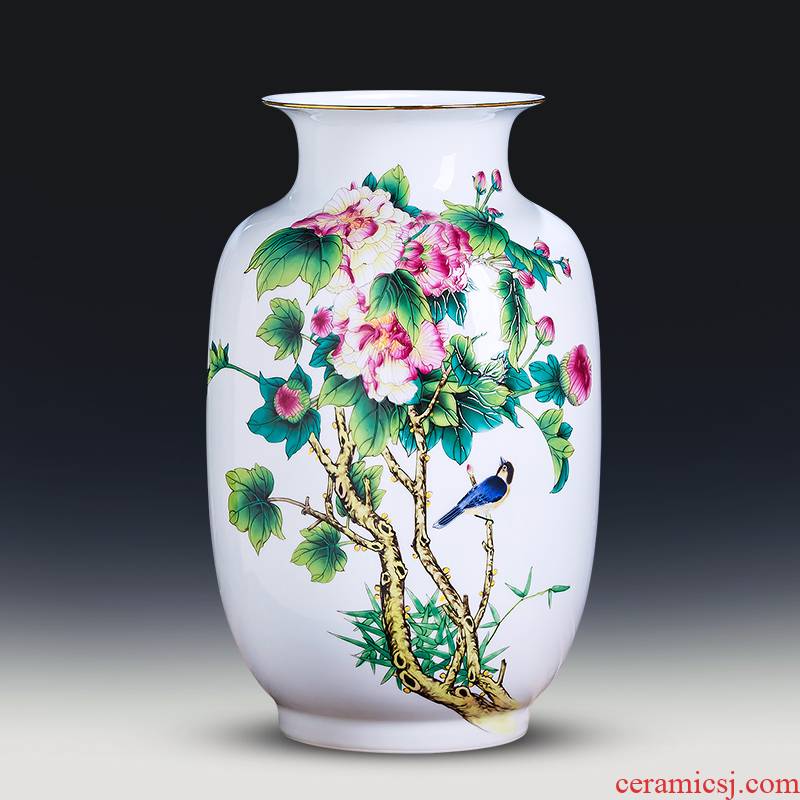 Jingdezhen ceramics powder enamel thin body new Chinese style household wealth vase furnishing articles flower arrangement sitting room adornment