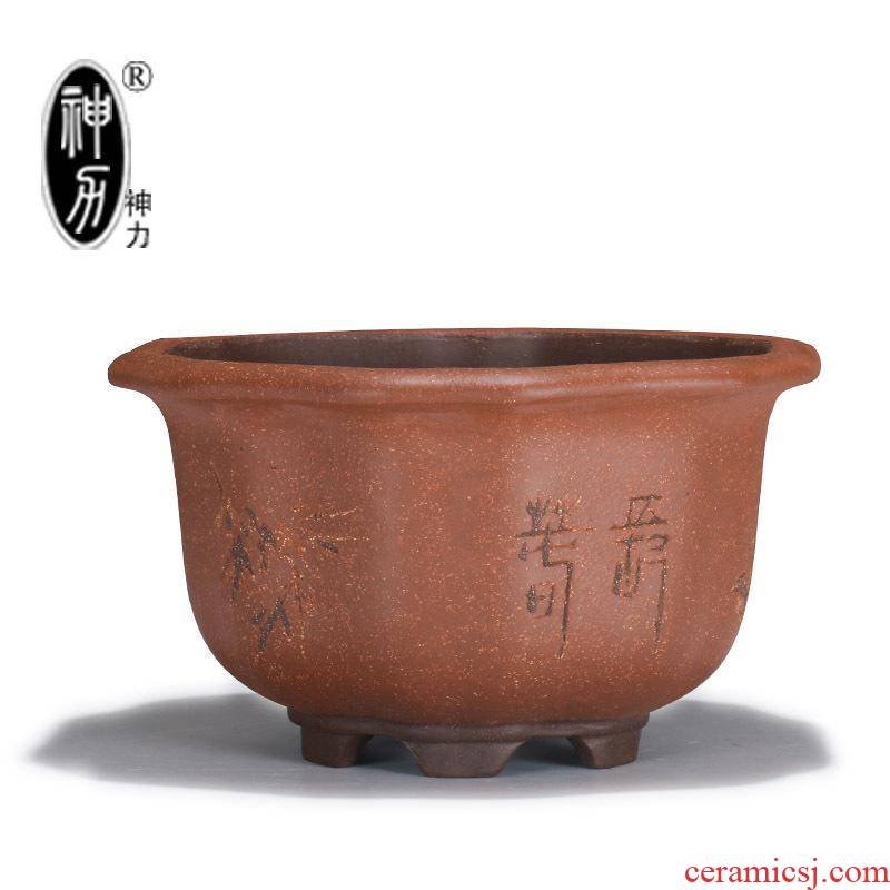 Yixing purple sand pottery forms green plant flowers gardening bonsai pot archaize kwai stumps basin orchid flower POTS