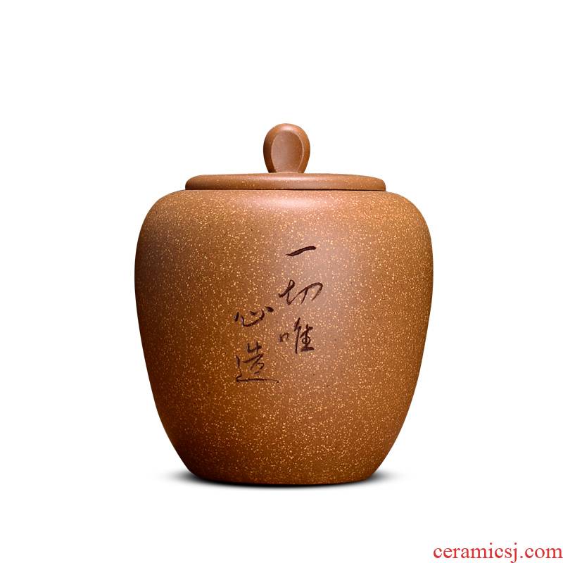 Shadow enjoy sand yixing purple sand tea pot segment adjustable manually pu - erh tea pot of tea urn storage sealed up POTS HZ