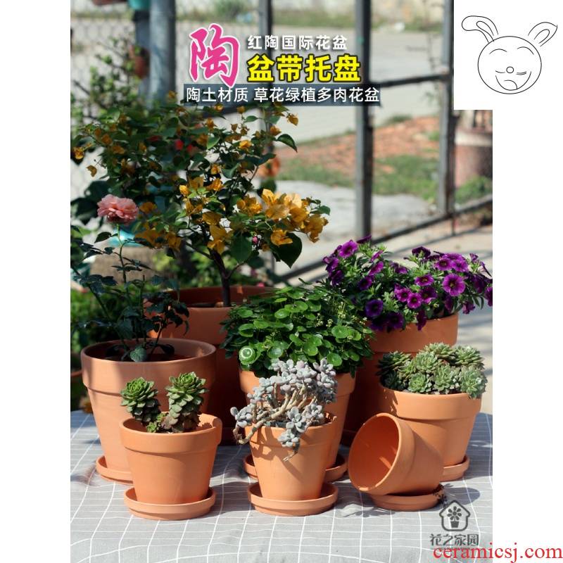 Red clay pot with other plant flowers, potted tray balcony indoor, fleshy ceramic breathable clay mud made of baked clay