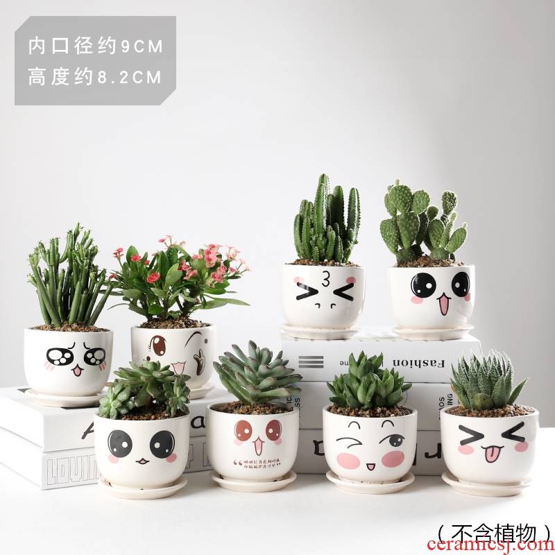 More meat flowerpot More than creative cartoon flower pot the plants ceramics small lovely indoor flesh POTS move type