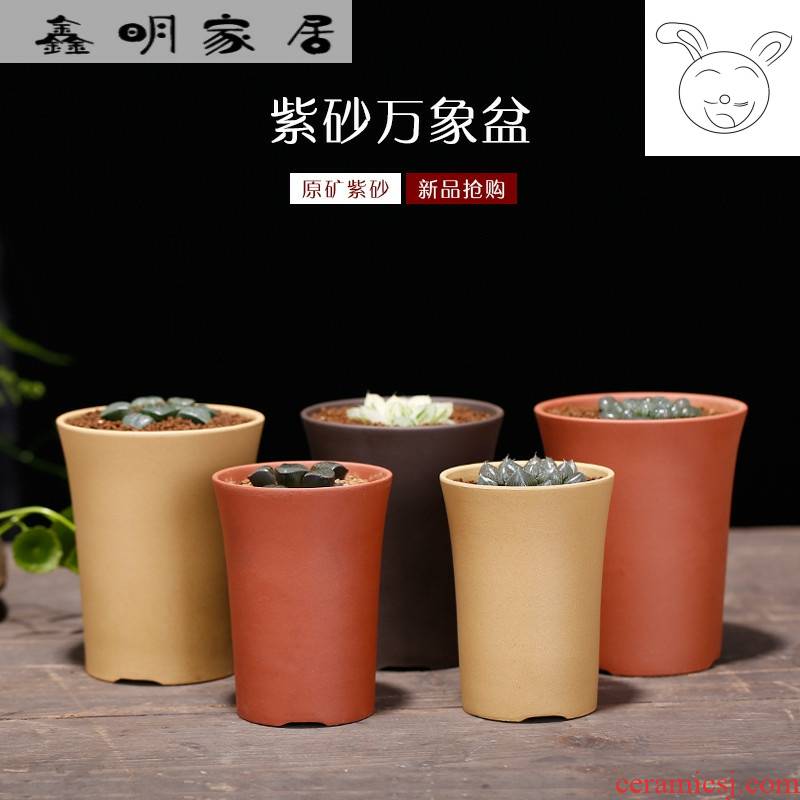 Violet arenaceous basin of vientiane yixing undressed ore large high curative value flowerpot more than twelve volumes of meat plant combination potted package mail