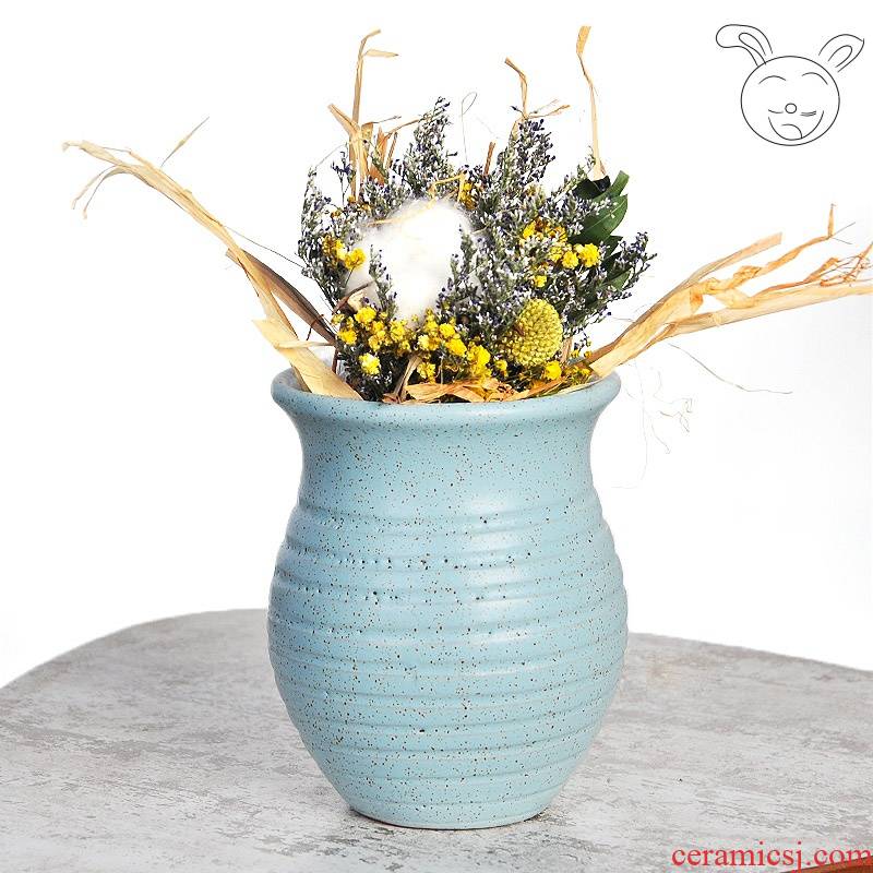 . Special coarse pottery flowerpot more meat large number of household ceramics earthenware jar green plant flower arranging dried vase meat meat the plants