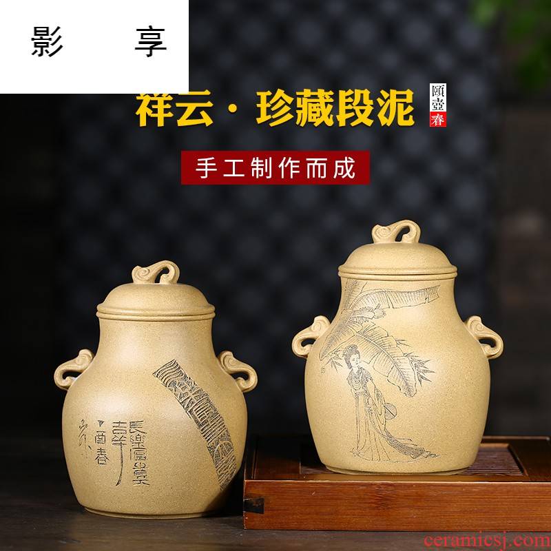 Shadow at yixing purple sand tea pot products by pure manual collection level ore section pu - erh tea POTS JH