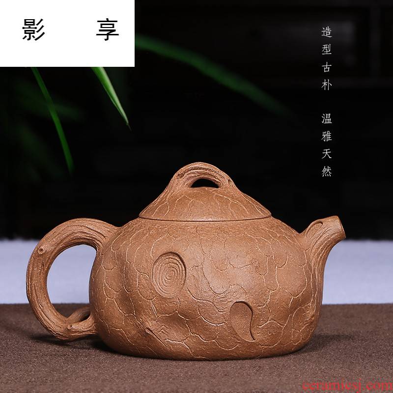 Shadow at yixing are it by pure manual teapot tea undressed ore old mud for spring teapot HM