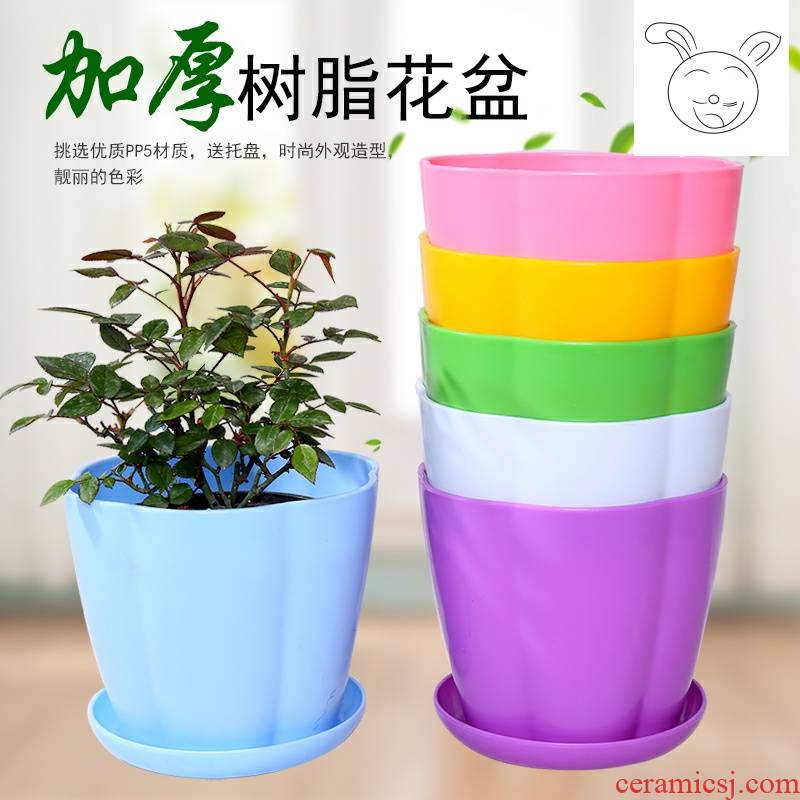 Increasing large money plant flower pot pot plastic imitation ceramic resin creative indoor green plant fleshy flower pot tray