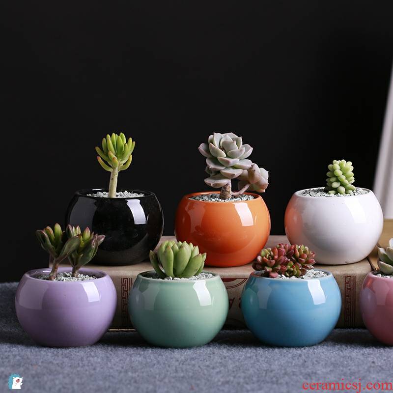 Ceramic flower pot small ball meaty plant flowers, potted flower POTS round white porcelain white color miniature creative
