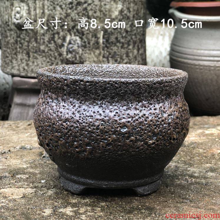 The new special offer a clearance violet arenaceous meat meat meat ceramics coarse pottery creative contracted large diameter flower pot in move