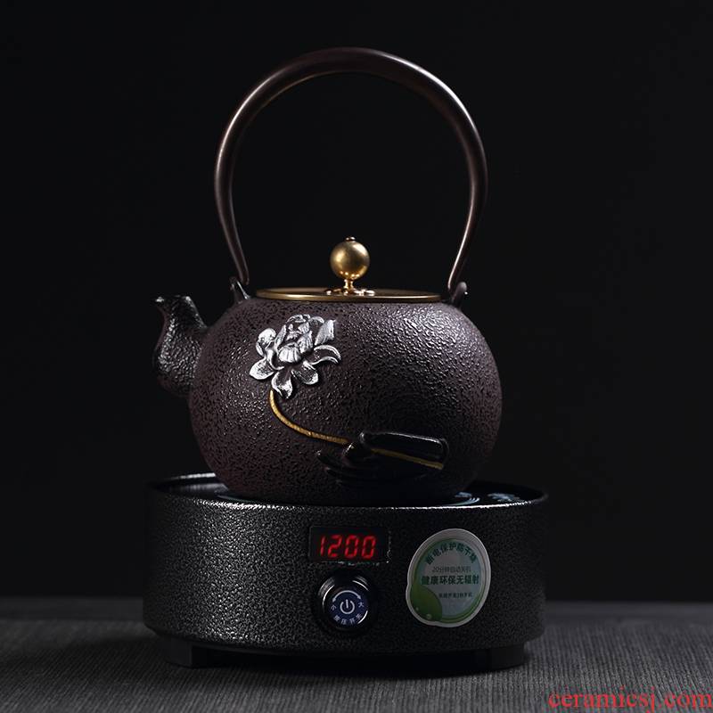 Craft brother pot electricity TaoLu suit Japanese iron teapot tea health household iron kettle boiling kettle
