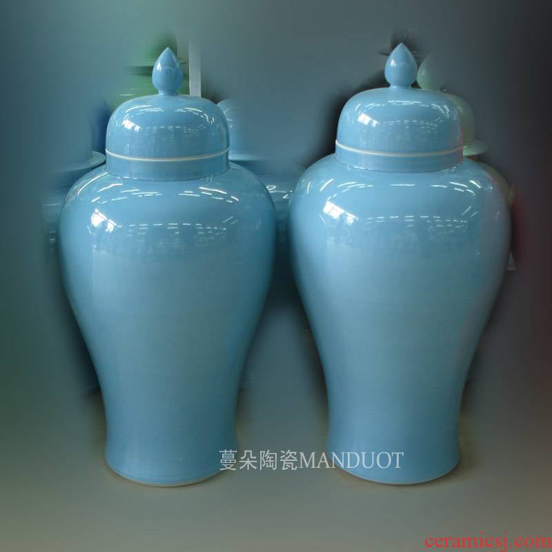Jingdezhen avant - garde contracted general can display the home general as cans with the general pot decorate a company