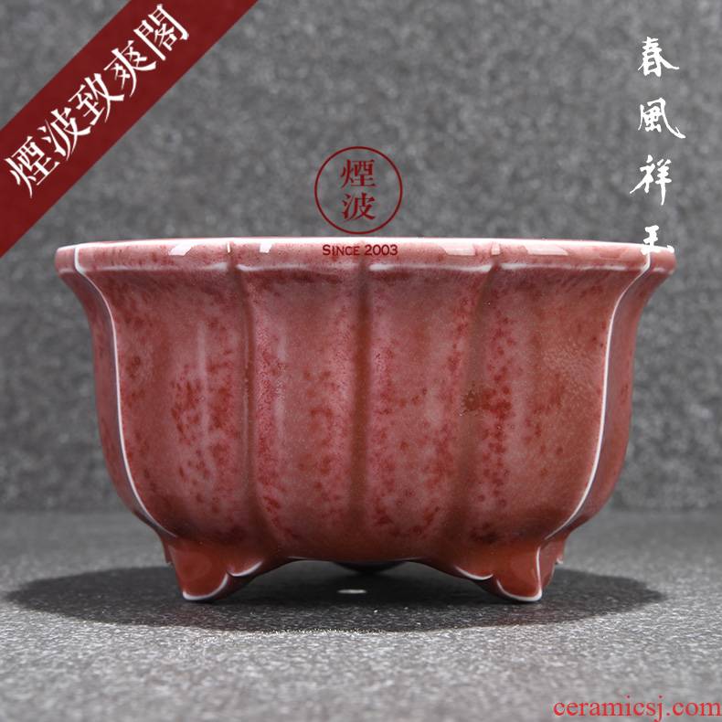 Those jingdezhen spring auspicious jade Zou Jun red porcelain up system have the meaty plant flower pot