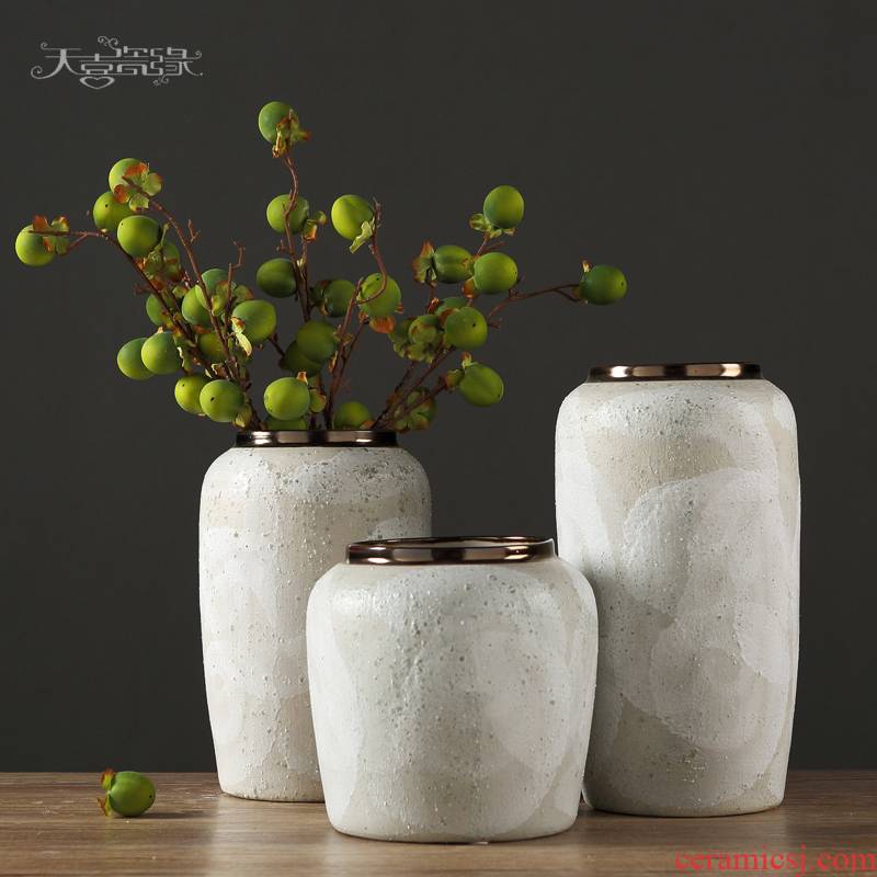 Modern European ceramic vase furnishing articles creative living room table small pure and fresh and dry flower arranging, coarse pottery home decoration
