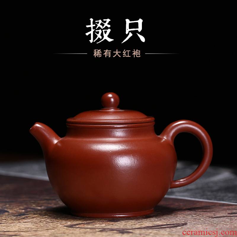 Yixing undressed ore it zhu clay pot pure manual mud painting Duo pot pot applique nameplates, kung fu tea teapot