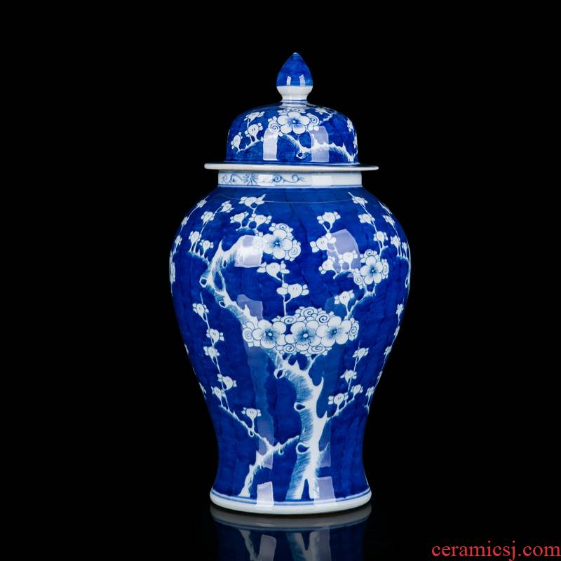 Jingdezhen blue and white porcelain ceramic hand - made mei general tank furnishing articles furnishing articles ice household act the role ofing is tasted big sitting room of Chinese style