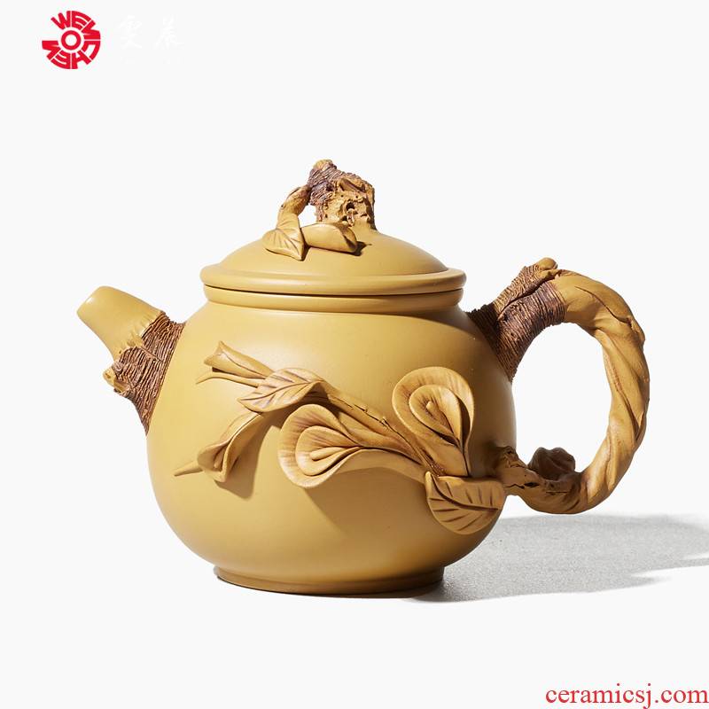 Shadow enjoy imitation wood are it Chen Dongzhu famous tea is purple sand teapot kung fu tea set piece of clay ore single pot of Y