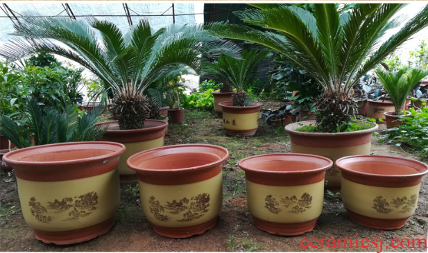 Special ceramic flower pot big yards ceramic basin air clearance household purple orchid outsize red clay