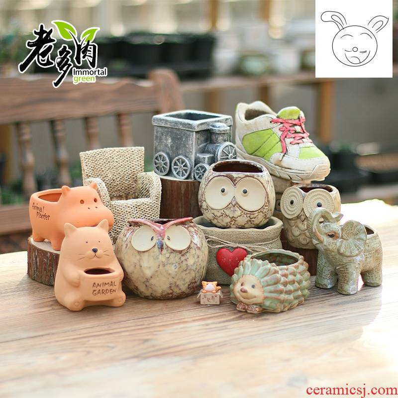 Meaty plant pot cartoon green the plants ceramic flowerpot more meat contracted individuality creative potted flower pot in ceramics