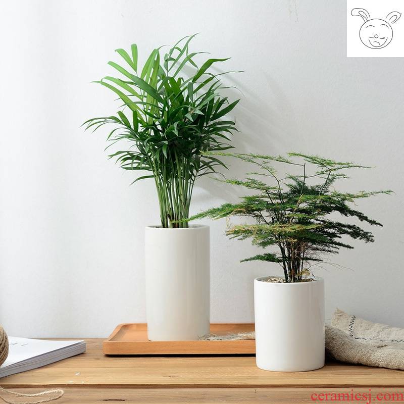 White flower pot ceramic basin of contracted high high indoor household household balcony meaty plant asparagus flower pot