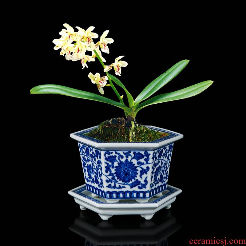 Special orchid flower POTS hand - made jingdezhen blue and white porcelain flowerpot manual green plant POTS archaize ornamental basin of Chinese style