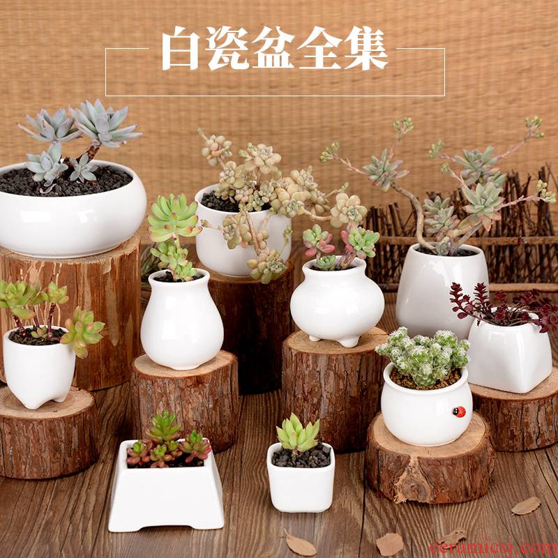 Fleshy ceramic square desk side basin large Fleshy potted contracted creative white porcelain pot round flower pot