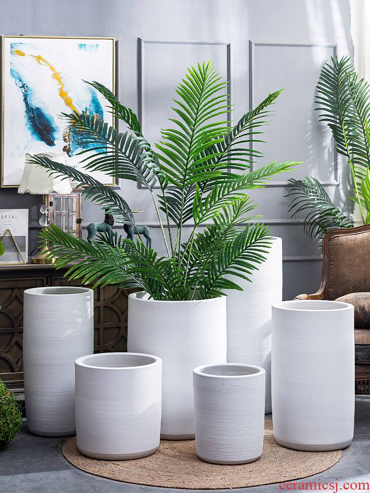 I and contracted large pot villa interior furnishing articles ceramic large ground the plants green plant white vase