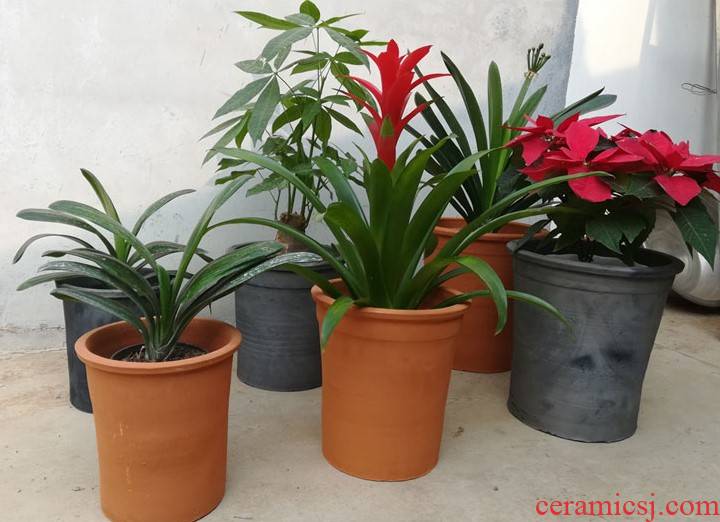 High red pottery flowerpot ceramic breathable clivia flower pot to heavy clay old mud made of baked clay