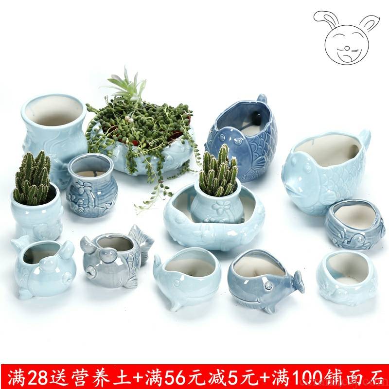 Creative fleshy ceramic pot wholesale medium household the plants porcelain basin small balcony cartoon express breathable move