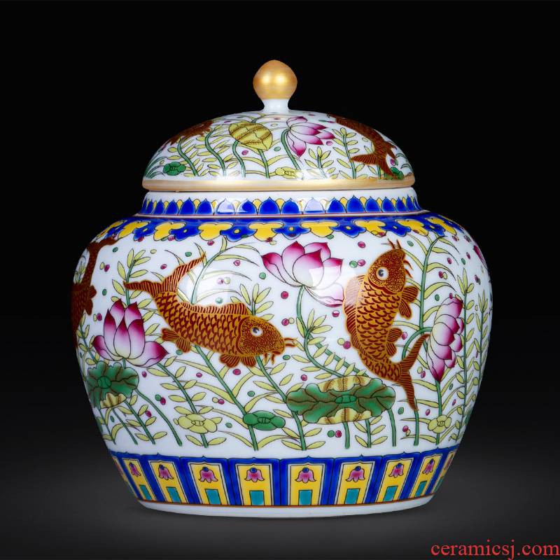 Jingdezhen ceramic every year more than loose tea caddy fixings storage POTS household receive sealed container grains storage tank