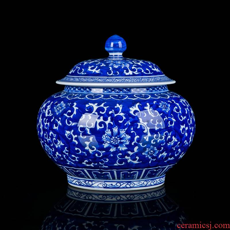 Jingdezhen blue and white porcelain tea pot seal tank general household furnishing articles accessories checking ceramic small jar