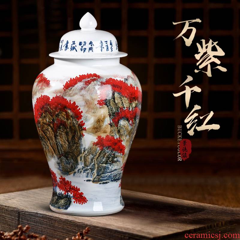 Jingdezhen ceramic masters general hand - made landing large tank storage tank Chinese TV ark adornment furnishing articles